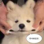 아니 남사친 몸무게가 48키로임