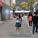[실험카메라] 초등학생들이 가로수길에서 "무궁화꽃이 피었습니다"...