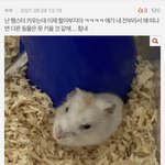 [드루와] <b>이때</b> 마음정리 했어야 하나봐