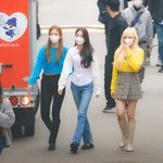 아이브 장신라인 (피지컬갑)