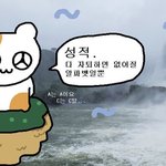 [댓글부탁해] 엔티제 궁금한 거 있음