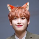 꼬리를 숨겨둔듯한 <b>여우</b> 아이돌