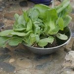 <b>설득력</b> 오지는 김대명