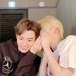 최애는 닮고 싶은 사람이고 차애는