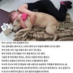 동물키우는애들 <b>눈물버튼</b>