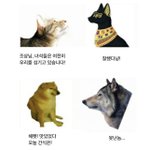 왜 알바구하면 자존감떨어지는지 알겠음