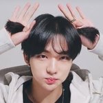 [스키즈] 양갈래즈 추가<b>완료</b>