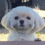 [댓글부탁해] <b>INFJ</b> 질문 ㄱ ㄱ