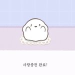 썸원 반려몽 강아지다..