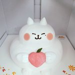 [세븐틴] +) <b>캐럿</b>들이랑 생일보내려고 일반케이크 사온듯