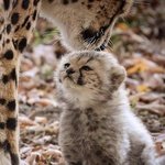 [NCT칠프] 블레스<b>미아</b>츄마크매드시티야