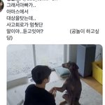 전정국 이 짤 <b>졸</b><b>귀</b>다
