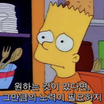 [댓글부탁해] 수능 망친 고3 망친<b>루트</b>