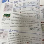 나.. 배꼽파다가 조카 큰 돌 나옴
