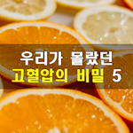 [50대] 우리가 몰랐던 고혈압의 비밀