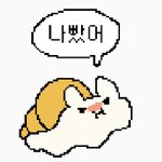 [댓글부탁해] 디<b>씨</b> 부러운점 <b>한</b>가지