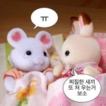 [드루와] <b>약</b><b>기운</b>때문에 졸려 뒤지겟음