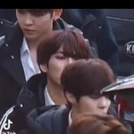 <b>이남</b>돌 이름이 대체 뭐임??