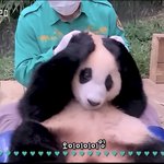 [NCT칠프] <b>심신</b> 안정중