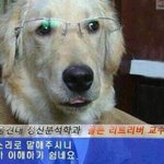 나 <b>특성</b>화고 다니는데 궁금한거