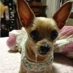 [댓글부탁해] 친구가 나 스토리 숨기기 하는 거 같은데