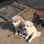 와조카귀여워 <b>쌍둥이</b>야..
