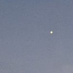 다이어트 썰 풀건데 언제가 <b>화력</b>좋아?