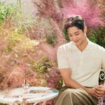 로운 화보
