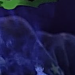 [NCT드림] <b>내</b> <b>눈</b>에만 ㅅㅇㅈ ㅅㅌㄹ 같냐…????