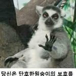 [댓글부탁해] 헐 장동건이 <b>장희빈</b>의 후손이래