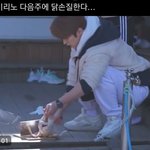 [스키즈] 드디어 오늘이다