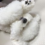 ㅇㅇ일의 기적 글 올린 판녀들 시험 잘 봤어?
