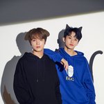 [NCT칠프] 멍냥<b>조합</b> ㅁㅊㄷ