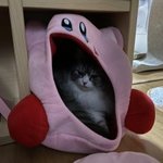 나 옛날에 어느 <b>판녀</b>한테 나쁜짓했어