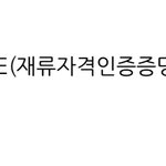 [NCT칠프] 나 유학생이라 f1<b>비자</b> 있는데….