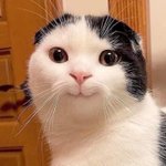 [댓글부탁해] 지하철에서 화장하는게 <b>민폐</b>임?