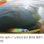 [NCT칠프] <b>벨루가</b> 기여워