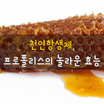 [50대] 천연항생제, <b>프로폴리스</b>의 놀라운 효능