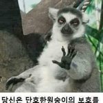 한시간 <b>자고</b> 학교