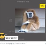 [19] 몇년이 지났는데도 <b>짝남</b>이 보고싶어.