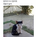 [댓글부탁해] 숱많은 <b>직모</b> 속눈썹은