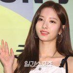 <b>보나</b>랑 친해지는 과정.jpg