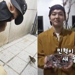 [BTOB] ㅋㅋㅋㅋ해외멜이