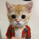 [NCT드림] 야<b>웅아</b>ㅠㅠ
