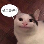 낼 굿즈 어케 사지