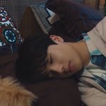 [NCT드림] <b>진</b>ㅉ ㅏ 박지성 유죄