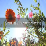 [<b>니</b>들꼭봐라] 당신의 <b>삶</b>은 이제부터 시작이다~