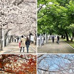 외국에서 본 한국의 <b>이색</b> 풍경?!