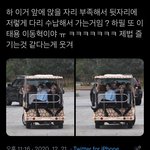 [NCT칠프] 이태용 이동혁 이거 왜 웃기지