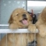 [19] 가오에 찌든친구 둔 사람 있냐..ㅋㅋㅋ